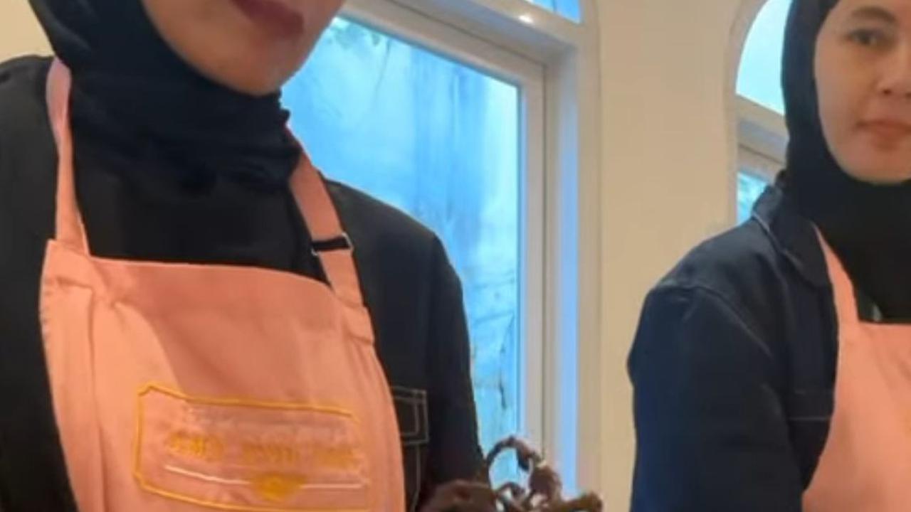 Momen Seru di Balik Kekompakan Shireen Sungkar, Ryana Dea, dan Paula Verhoeven Saat Baking Class