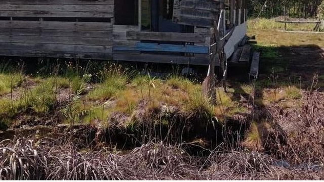 Cerita Musala Al-Kautsar di Riau jadi Pusat Kegiatan Warga, Ternyata Kondisinya Bikin Miris