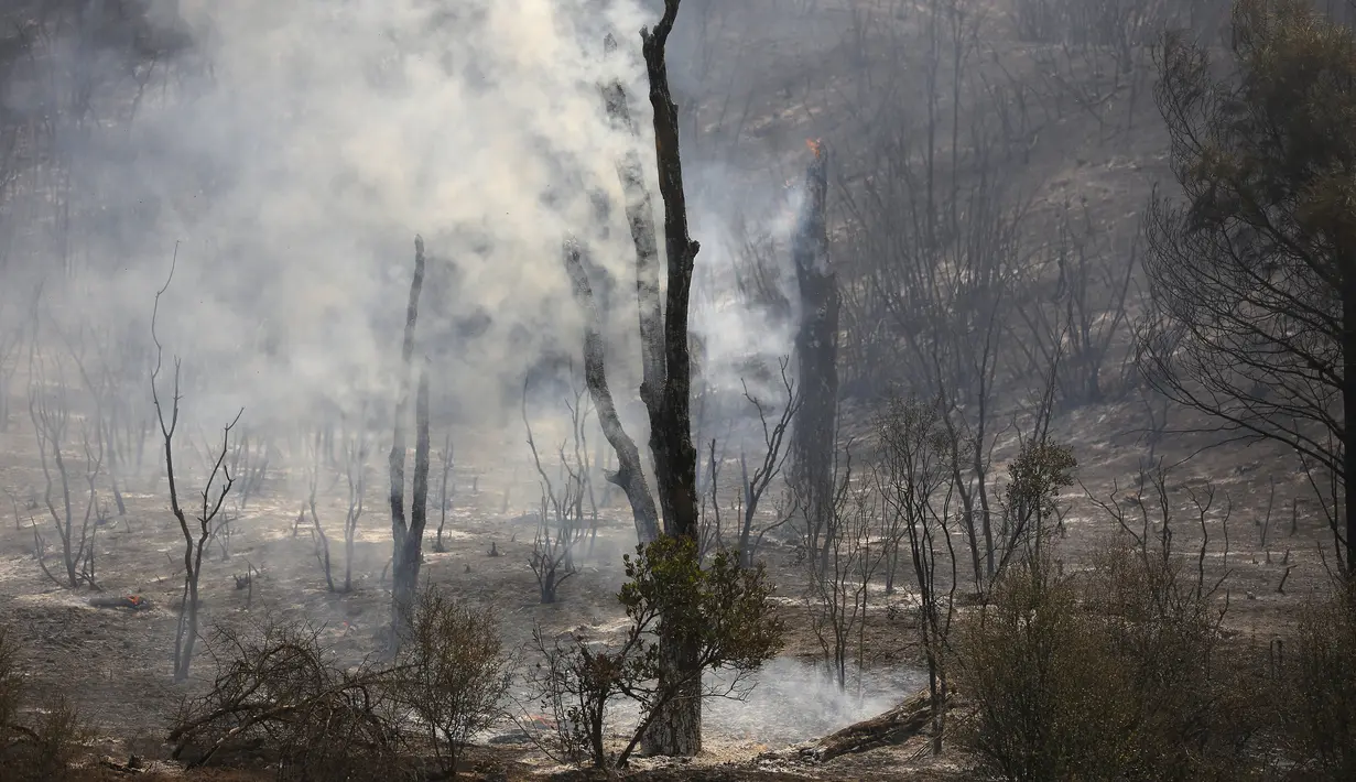 Kepulan asap usai kebakaran di hutan kawasan California, AS, Senin (3/8/2015). Kebakaran ini terjadi setelah bagian barat AS dilanda kekeringan selama empat tahun (Reuters/ Stephen Lam) 