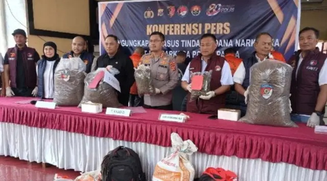 38 Kilogram Ganja dan 169 Pohon Disita di Papua
