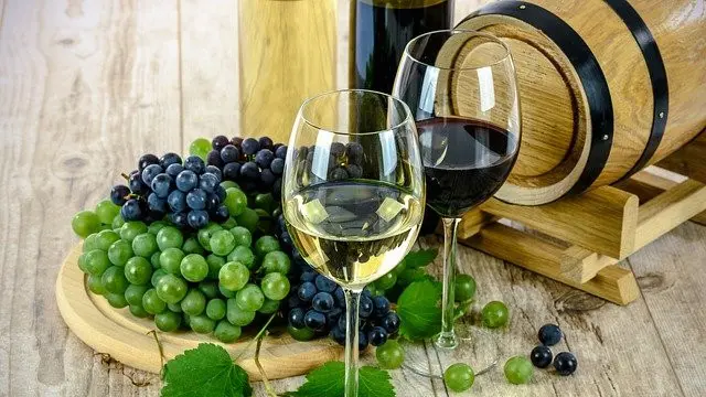 Ilustrasi Wine