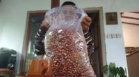 Sahnawi mengecek kopi wine produksinyapada usia fermentasi 1 minggu atau 7 hari (Hermawan Arifianto/Liputan6.com)
