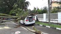 Mobil tertimpa pohon ambruk di Medan