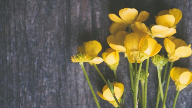 Background Presentasi Yellow