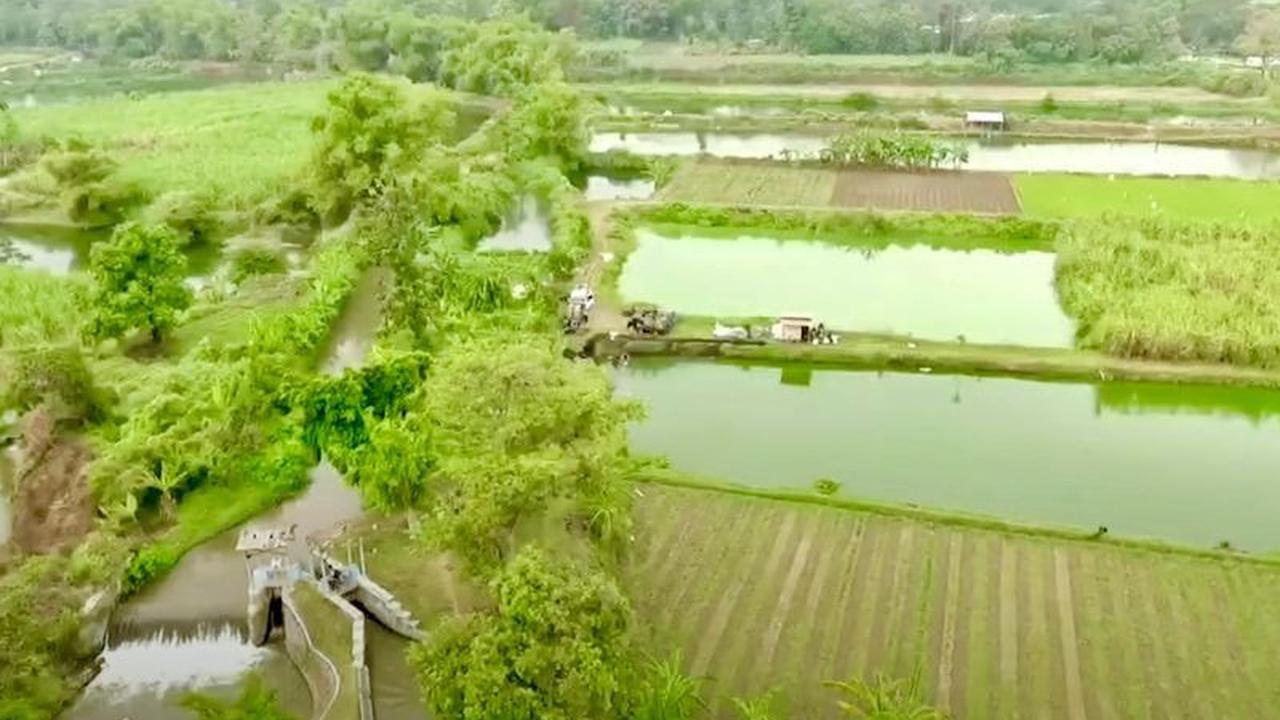 Rasio Gini Tanah 0.78: Reformasi Agraria Mendesak untuk Keadilan dan Kesejahteraan Rakyat
