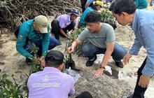 Pemkab Kepulauan Seribu Gencarkan Konservasi Lingkungan: Tanam Mangrove dan Lepas Tukik