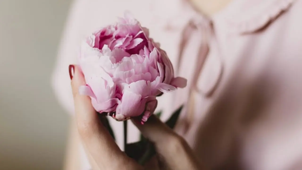 Ilustrasi. | Foto: copyright pexels.com