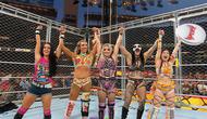 WWE Survivor Series 2025 was successfully held at Petco Park, San Diego, featuring a fierce WarGames match, the return of Liv Morgan, and surprises from AJ Lee and Dominik Mysterio.
