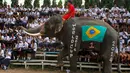 Usai berlaga di sebuah pertandingan di provinsi Ayutthaya, Thailand, (9/6/2014), salah satu gajah memberkan penghormatan dan menghampiri beberapa siswa yang duduk di bangku penonton. (REUTERS/Chaiwat Subprasom)