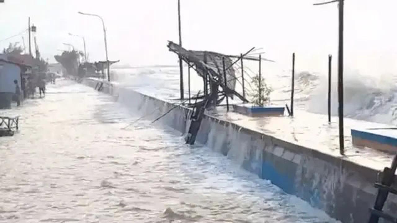 Apa itu Giant Sea Wall dan Bagaimana Manfaatnya untuk Kelautan?