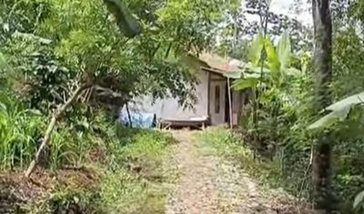 Purnawirawan TNI AL Tinggal di Tengah Hutan