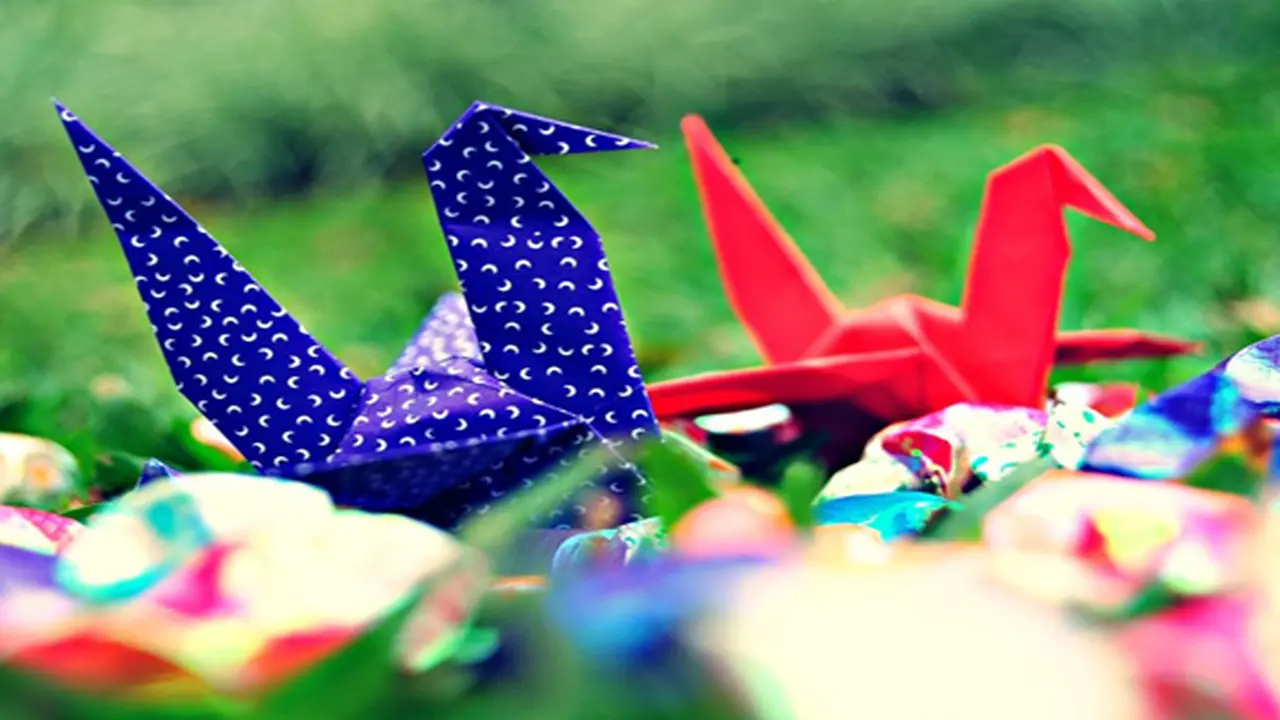 Foto: copyright shutterstock.com
