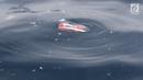 Sepatu mengambang di laut pascajatuhnya pesawat Lion Air JT 610 di laut utara Tanjung Pakis, Jawa Barat, Senin (29/10). Pesawat Lion Air JT 610 dilaporkan hilang sekitar pukul 06.00 WIB. (Liputan6.com/Herman Zakharia)