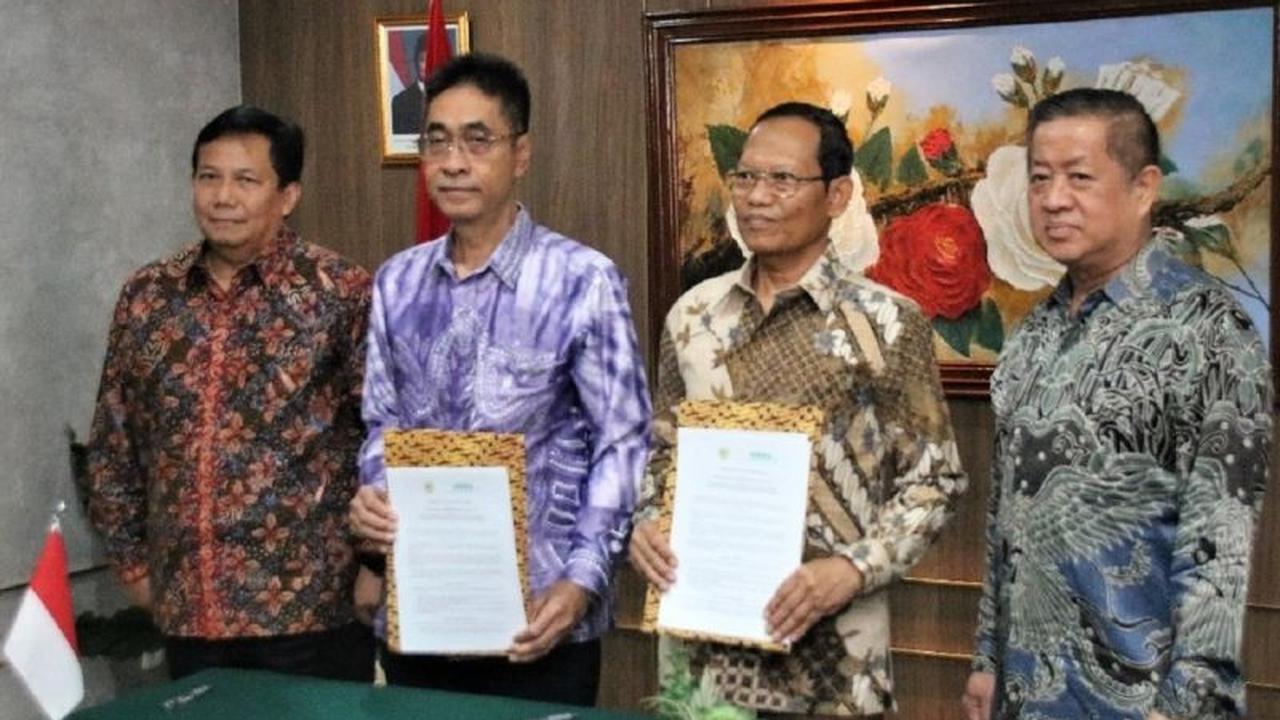 Tahukah Anda, Lahan Gambut Tropis Simpan Karbon Melimpah? APHI & ITPC Perkuat Pengelolaan Gambut Tropis Berkelanjutan