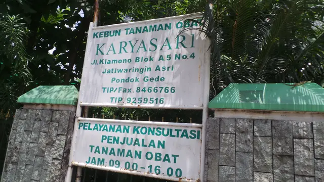 Tati Winarto, Terlanjur Cinta dengan Tanaman Obat