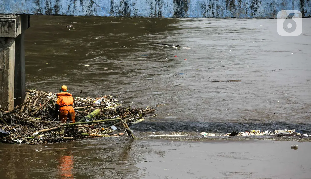 Petugas PPSU membersihkan sampah yang tersangkut di tengah derasnya aliran Kali Ciliwung, Jakarta, Rabu (19/5/2021). Pembersihan tersebut dimaksudkan agar tidak ada penumpukan sampah dan sedimentasi saluran di sepanjang Kali Ciliwung. (Liputan6.com/Faizal Fanani)
