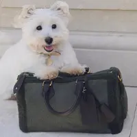 Rumah mode legendaris ini kembali memperkuat posisinya sebagai trendsetter bagi para pemilik hewan peliharaan kelas konglomerat lewat Louis Vuitton Dog Collection 2026, sebuah rangkaian aksesori mewah untuk anjing, dari tas, baju, beret, hingga mangkuk minum yang dilapisi kulit premium. [Dok/LOUIS VUITTON].