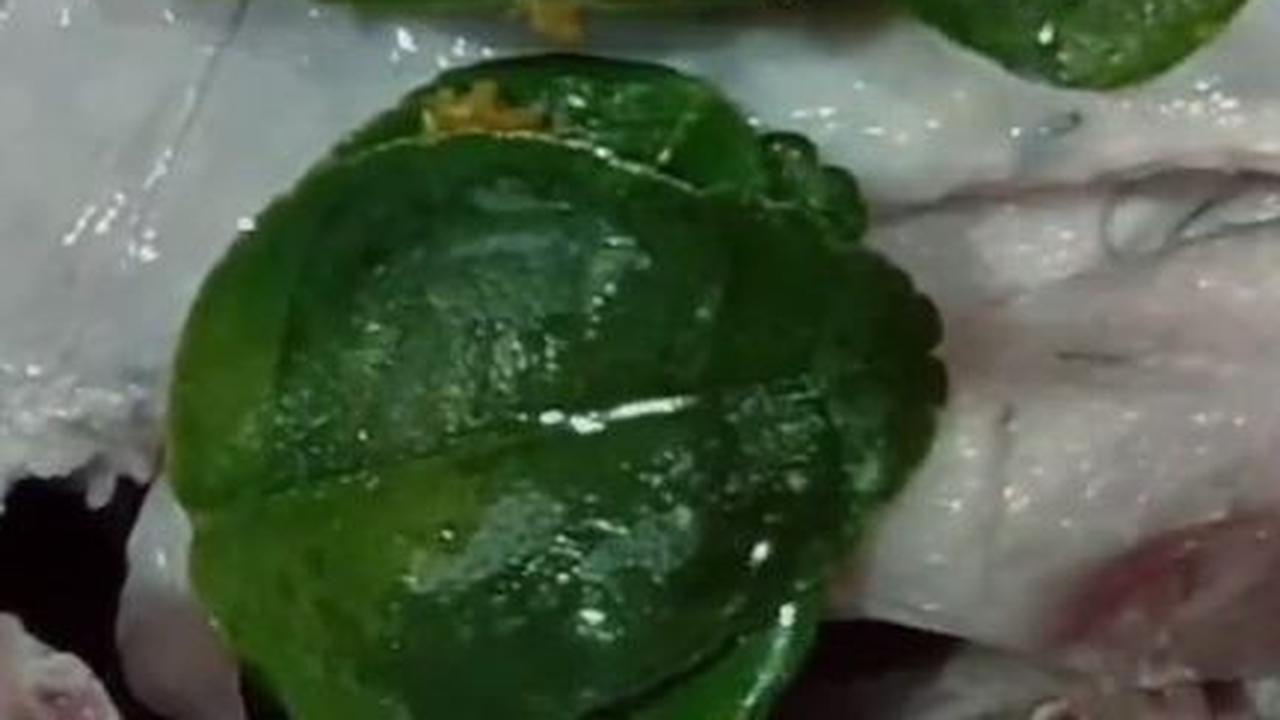 Campurkan Ayam dan Bumbu