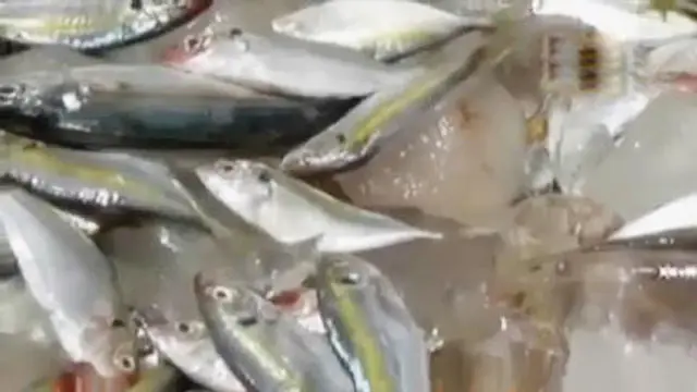 Ikan berformalin ini ditemukan di kapal motor milik nelayan.
