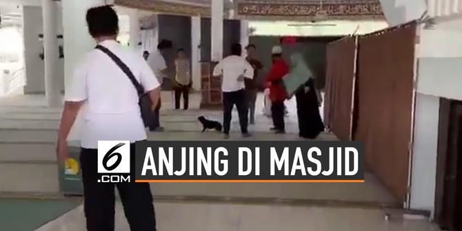 VIDEO: Kronologi Wanita Bawa Anjing Ke Dalam Masjid Bogor