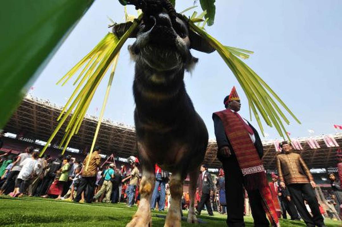 Festival seni budaya Batak