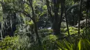 Pemandangan situs Roberto Burle Marx, yang masuk kedalam daftar situs warisan dunia UNESCO, di Rio de Janeiro, Brasil, pada 27 Juli 2021. Situs tersebut diketahui memiliki sekitar 3.500 spesies tumbuhan, dengan mayoritas tanaman tropis asli Rio. (AP Photo/Mario Lobao)