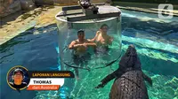 Laporan Thomas dari Australia.