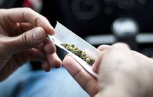 Polisi janji usut temuan lintingan ganja di Kementerian Perdagangan