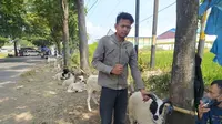 Galih, 24 tahun, salah seorang pedagang domba musiman di bilangan Persimpangan Pasir Muncang Garut mengatakan, sejak pandemi Corona datang, tingkat penjualan domba menjelang idul ada turun hingga 70 persen. (Liputan6.com/Jayadi Supriadin)