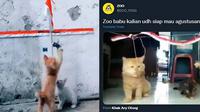 Kucing lomba makan ala 17 Agustusan (Sumber: Twitter/ZOO_FESS)