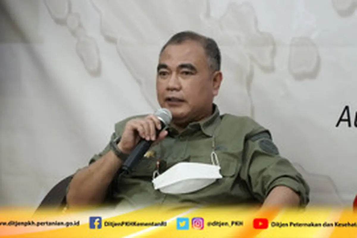 Kementan Dorong Penguatan Hilirisasi dan Penataan Rantai Pasok Telur Ayam Ras