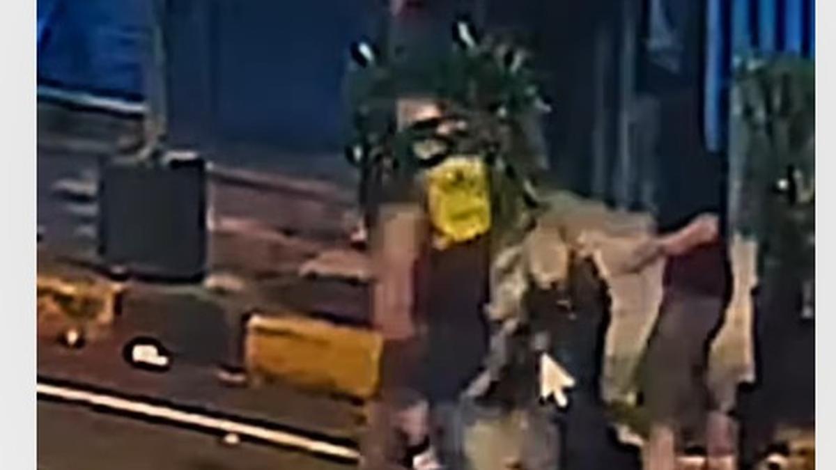 Viral Keributan di Blok M, WNA Tewas usai Dipukuli Pria Gondrong
