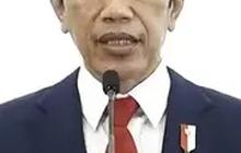 VIDEO:  Respons Keras Jokowi Soal Food Estate: Hati-Hati, Tak Semudah yang Dibayangkan