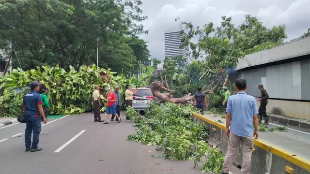 Pohon Tumbang Bikin Perjalanan MRT Jakarta Terganggu