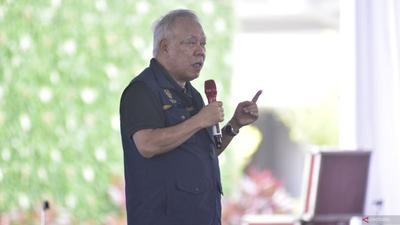 IKN Jadi Percontohan Utama Program Rehabilitasi Mangrove Nasional