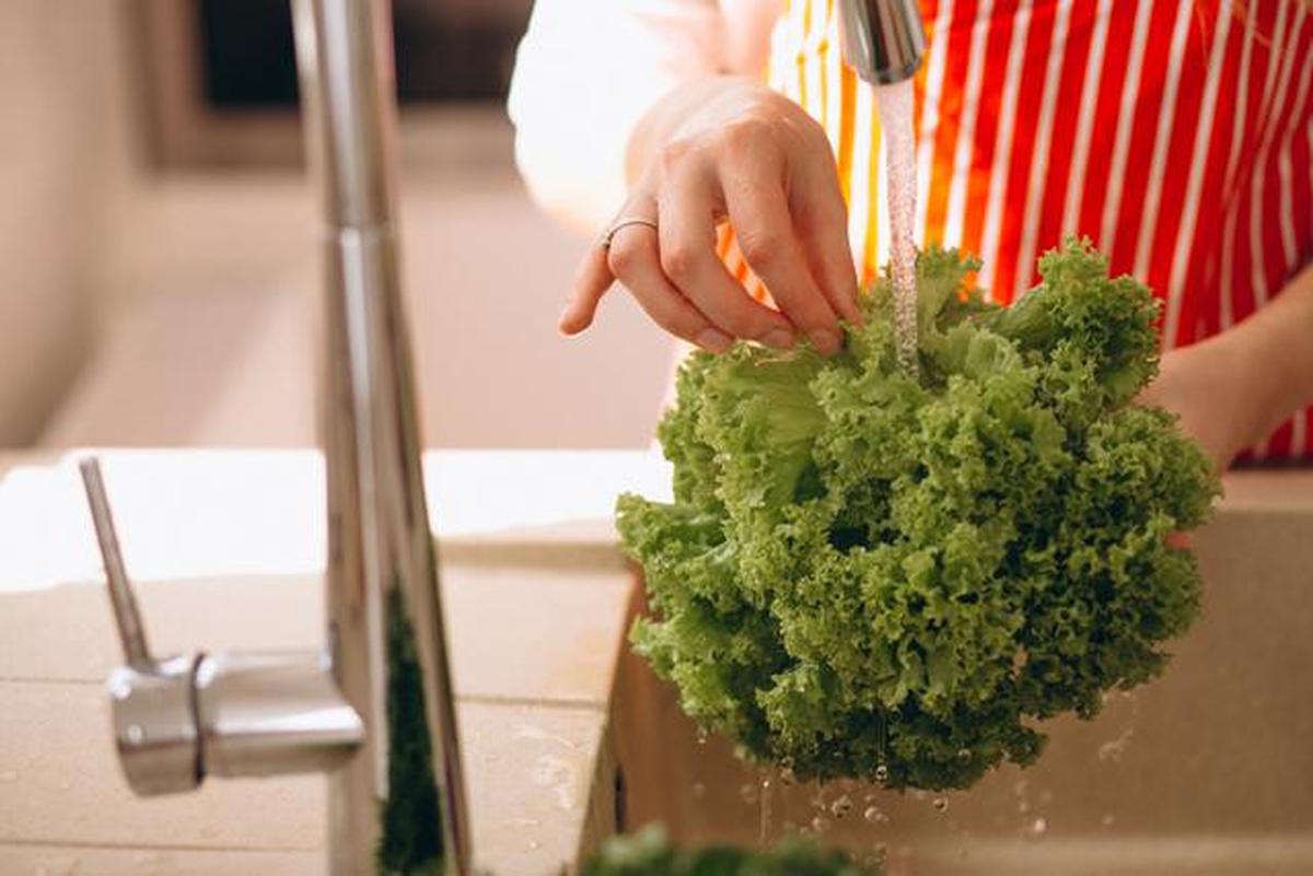 Rahasia Menyimpan Sayuran Tanpa Kulkas agar Tidak Cepat Layu, Awet Fresh