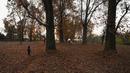 Orang-orang berjalan di samping pohon yang merontokkan daun musim gugur mereka di taman Nishat Bagh di Srinagar (16/11/2020). (AFP/Tauseef Mustafa)