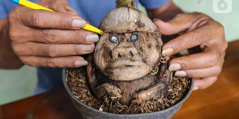 Unik, Herman Ronda Menyulap Batok Kelapa Menjadi Bonsai