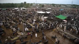 Orang-orang berkerumun di pasar ternak menjelang Hari Raya Idul Adha di Peshawar, Pakistan (13/7/2021). Jelang Idul Adha, Pasar ternak di Peshawar, Pakistan mulai sibuk menjual hewan kurban. (AFP/Abdul Majeed)