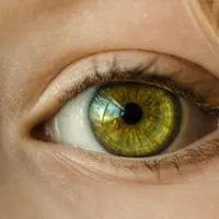 ilustrasi mata (Pixabay.com)