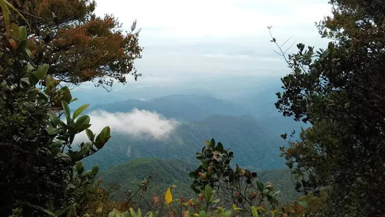 6 Fakta Menarik Gunung Korbu, Gunung Tertinggi ke-2 di Malaysia