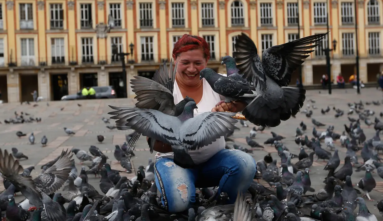 Seorang wanita memberi makan merpati di Alun-Alun Bolivar, Bogota, 2 Oktober 2018. Pemerintah Bogota berusaha mengurangi jumlah populasi merpati melalui larangan bagi pengunjung untuk tidak memberi makan lagi burung-burung itu. (AP/Fernando Vergara)
