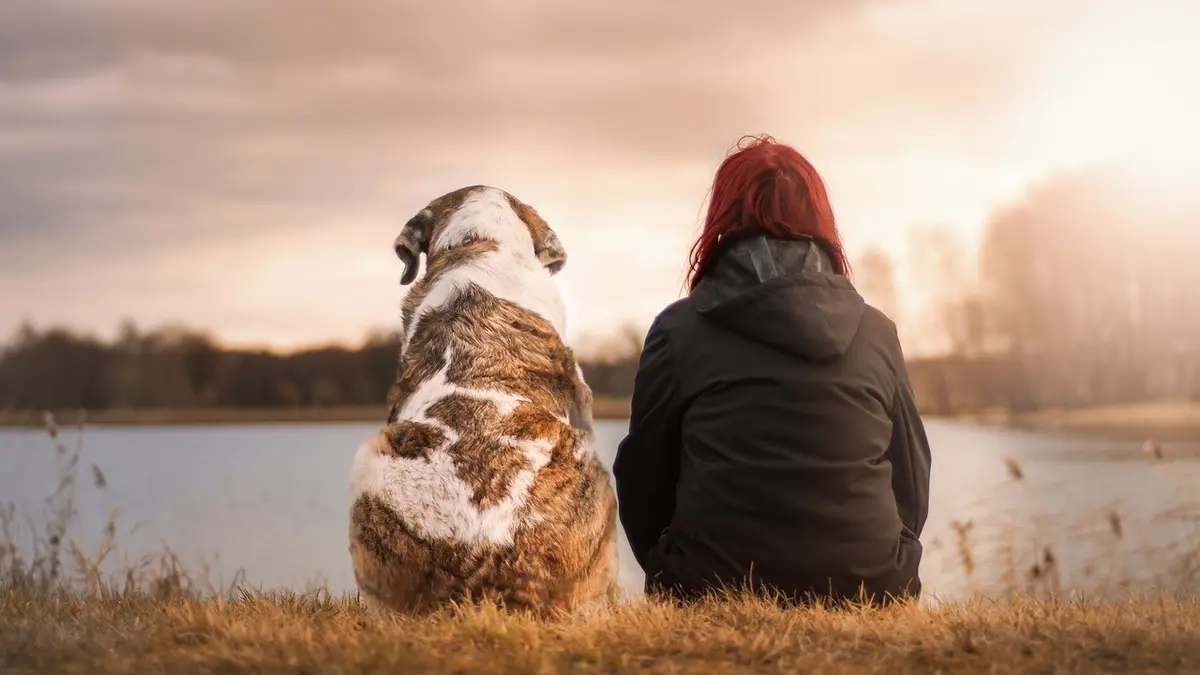 Perempuan Nikahi Anjing Peliharaannya, Mengaku Lebih Bahagia daripada  Bersama Mantan Suami - Lifestyle Liputan6.com