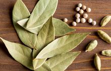 Daun Salam: Herbal Kuno dengan Manfaat Modern untuk Kesehatan Pencernaan dan Kolesterol