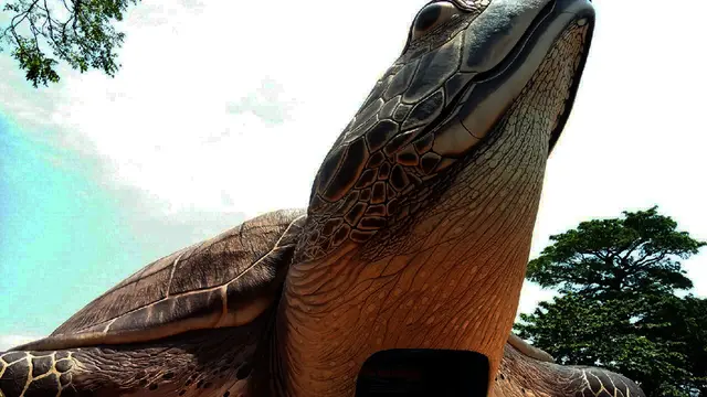 Salam Pagi