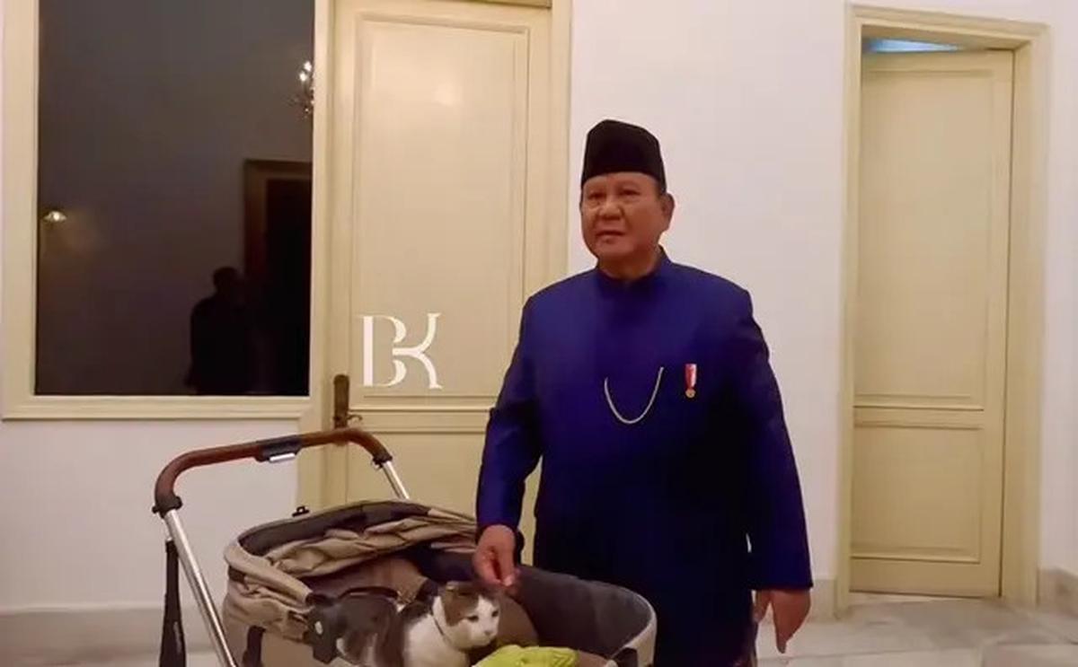 Mengintip Harga Fantastis Stroller Bobby Kertanegara, Kucing Peliharaan Prabowo yang Jadi Idola