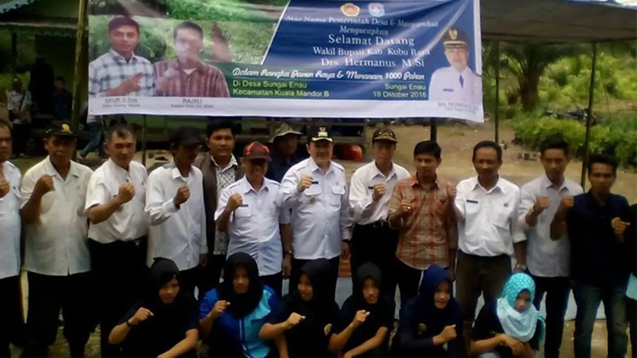 Serunya Panen Raya Cabai Rawit di Desa Sungai Enau