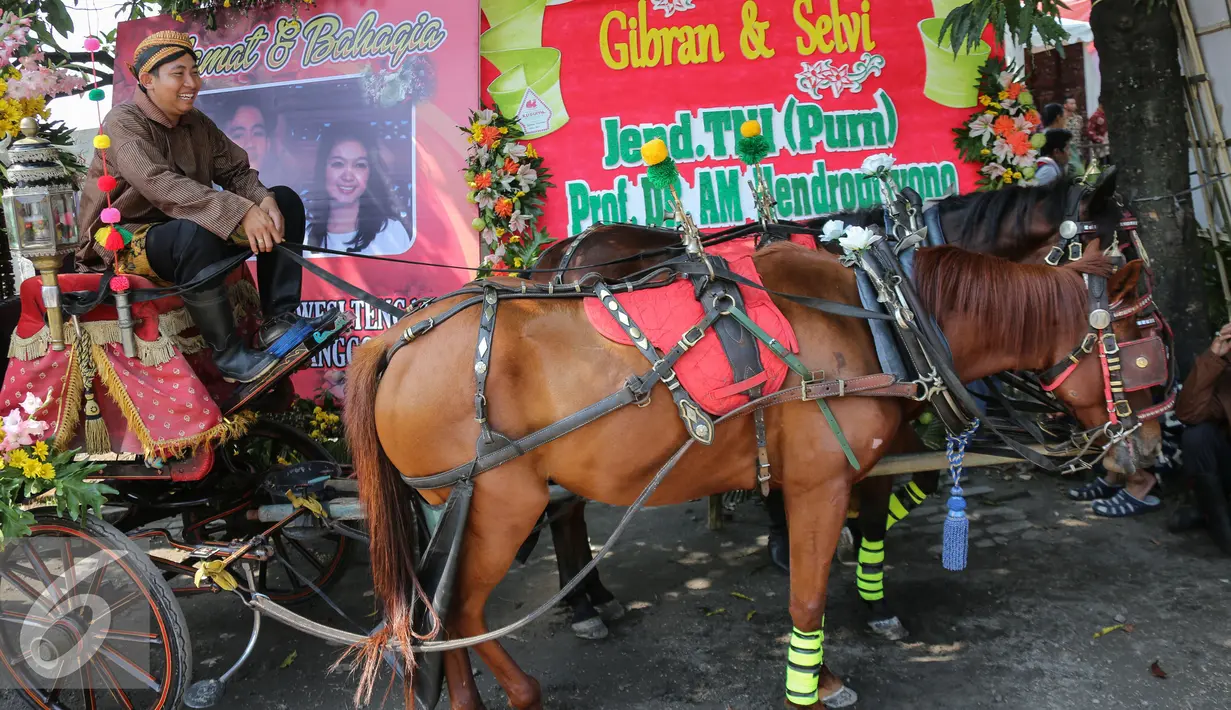 Sebuah kereta kencana pengiring pengantin Putra sulung Presiden Joko Widodo, Gibran Rakabuming Raka di depan Gedung Graha Saba , Solo, Kamis (11/6/2015). Gibran menikahi Selvi Ananda dengan memakai adat Jawa. (Liputan6.com/Faizal Fanani) 