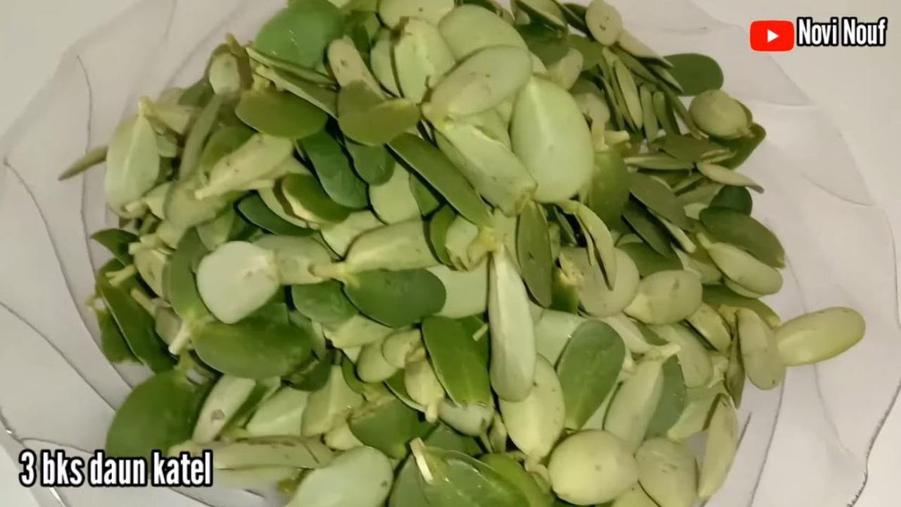Apa Itu Sayur Daun Katel?