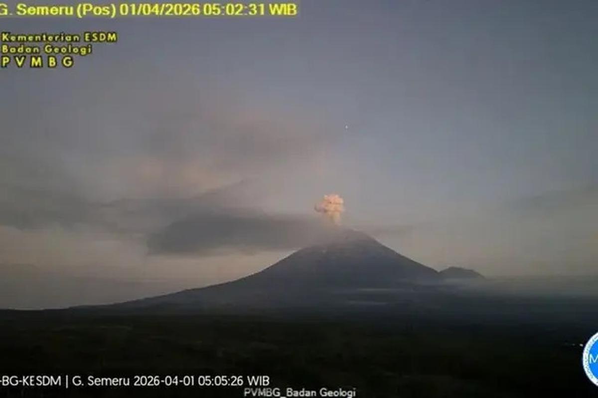 Gunung Semeru Erupsi 9 Kali Beruntun Sabtu Pagi 4 April 2026, Tinggi Letusan Capai 1.000 Meter
